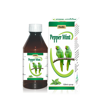 PEPPERMINT SYRUP 120ML