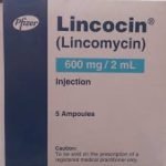 Lincocin 600mg Injection
