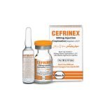 Cefrinex Vial 500Mg