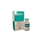 Cinam 500mg Injection