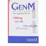 GEN M 120MG INJECTION
