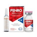 Penro 500Mg Injection Iv