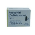 Rocephin 1Gm IV Injection