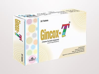 Gincox T Tablets