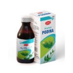 PODINA SHARBAT 120ML