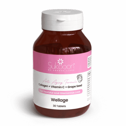 Wellage_e6049021-a469-4d1d-a909-aae37301febd.png