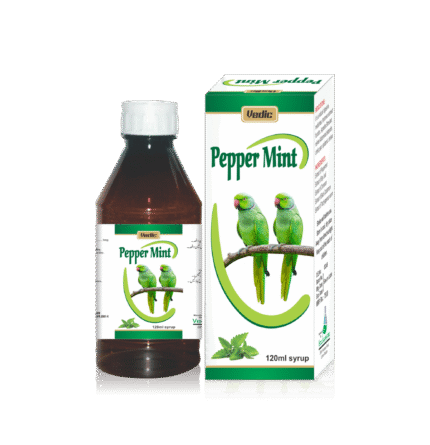 Peppermint Syrup 120ml