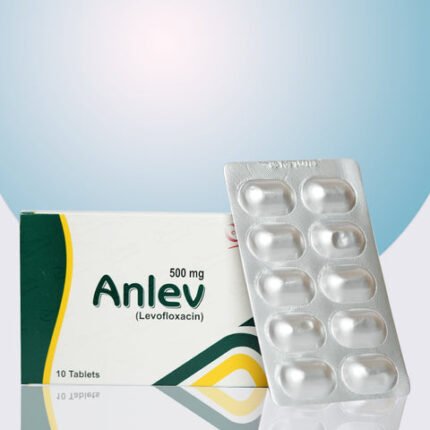 Anlev500_large.jpg