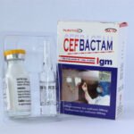 Cefbactam 1gm injection