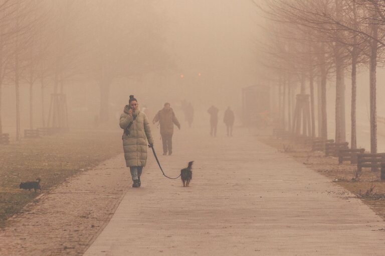 Smog over a city, smog and health