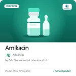 Amikacin 1g Injection