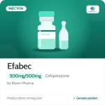 Efabec 500mg/500mg Injection