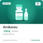 Amikaneu 500mg Injection